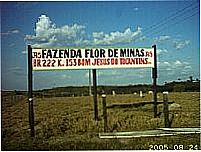 Fazenda Flor de Minas-Foto:Marco Antunes