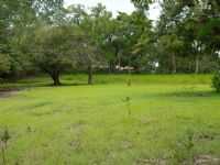 Curuaí - beira de igarapé curuai, Por sanclei cerdeira