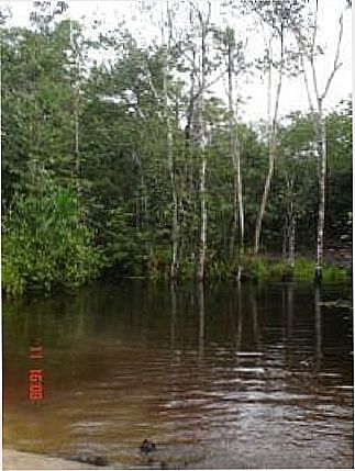cidade de Curu��