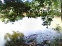 Dom Eliseu - Balneario em D. Eliseu-pa, Por weslene