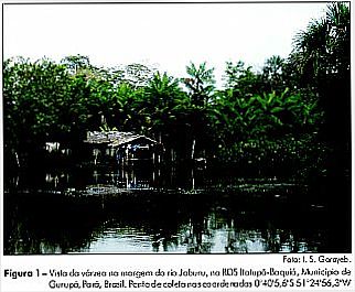 cidade de Itatup�