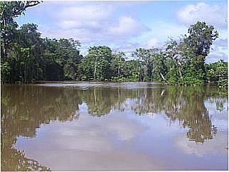cidade de Itupiranga