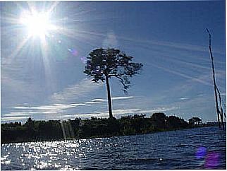 cidade de Jacund�