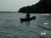 Mocajuba - Pescador, Por Almerindo Maia