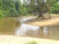 Rio Maria - Por Assis Neves - Castanhal