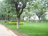 Rio Maria - Avenida Principal, Por Assis Neves - Castanhal