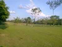 Tomé-Açú - CAMPO DE BASIBOLL, Por LEIDA GLORIA