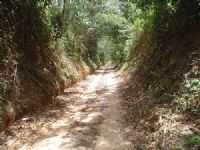 Tracuateua - Trilha Ecológica, Por Fátima Vale