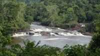 Trairão - Trairão-rio tucunaré, Por miguel ciriaco da cruz