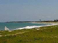 Praia da Baía da Traição-Foto:vivi