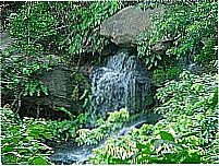Bananeiras - Cachoeira do Roncador