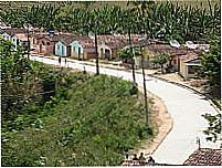 Bananeiras