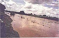 Rio Piancó por Valdinho