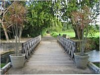 Jardim botÂnico de J.Pessoa, Por Marconi doa santos