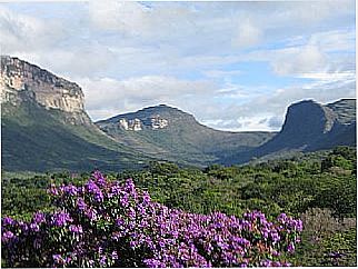 cidade de Cap�o