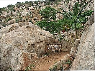cidade de Lastro