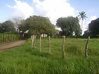 Mari - Marí-PB-Sítio em área rural-Foto:Ronalddlima