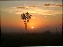 Foto do amanhecer de Capixaba - Acre, Por Magalh�es