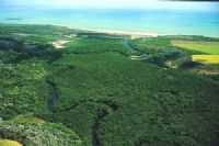 Rio Tinto - Rio Miriri, Por José Medeiros de Lima