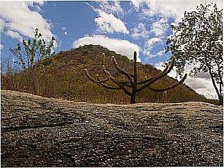 cidade de S�o Mamede