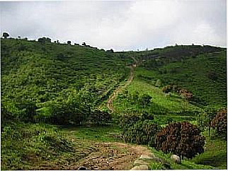 cidade de Serra da Raiz