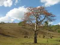 Serra Redonda - Por Valéria Alves