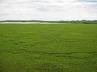 Afogados da Ingazeira - Barragem de Brotas-Foto:Fabio Wellington