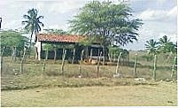 cria��o de boi, Por salatiel