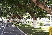 Arcoverde - Praça Virgínia Guerra-Foto:José Lins A.Filho