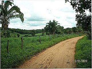 cidade de Catol�ndia