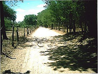 cidade de Bodoc�