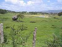 Bonito - Caminho para as cachoeiras-Foto:Nelson Gama