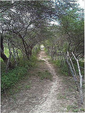 cidade de Cabanas