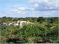 Zona rural de Cachoeirinha-Foto:Amilton J�nior
