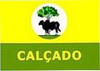 Bandeira da cidade 