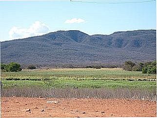cidade de Carnaubeira da Penha