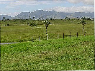 cidade de Col�nia