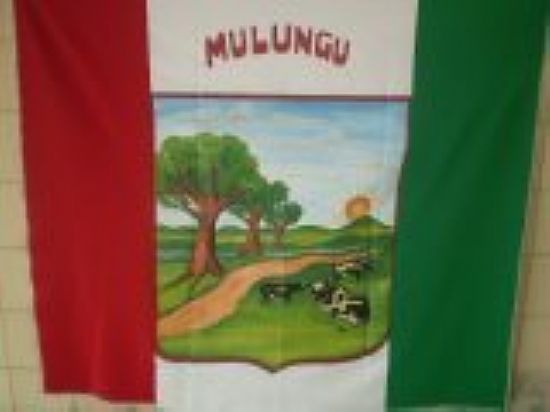 BANDEIRA DE MULUNGU-FOTO:MICHELQUERINO  - MULUNGU - PE