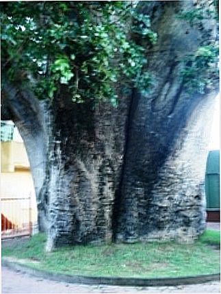 cidade de Nossa Senhora do �