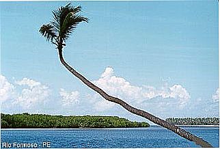 cidade de Rio Formoso