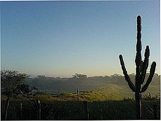 cidade de Sert�nia