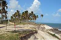 Sirinhaém - Sirinhaém-PE-Praia de Guadalupe-Foto:Sergio Falcetti