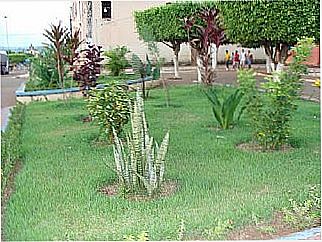 cidade de Tupa�ca