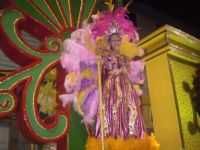 Vitória de Santo Antão - Fantasia de destaque O camelo Carnaval 2010, Por Marconi Sandres