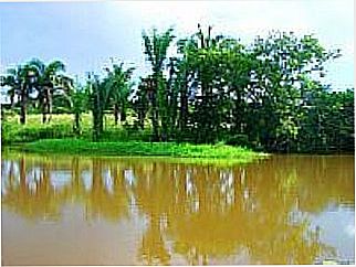 cidade de Angical do Piau�