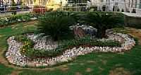 Bom Princípio do Piauí - Jardim do Colégio N.Sra.das Graças-Foto:Helder Fontenele