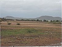 Buriti dos Lopes-Foto:krist ibidem 