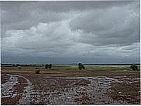 Buriti dos Lopes-Foto:krist ibidem 