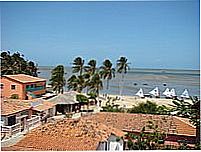 Cajueiro da Praia-Foto:Edilson Morais Brito�
