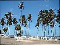 Cajueiro da Praia-Foto:Edilson Morais Brito�